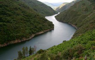 Ribeira Sacra