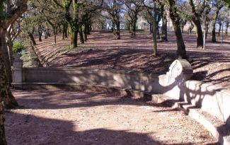 The acoustic bench